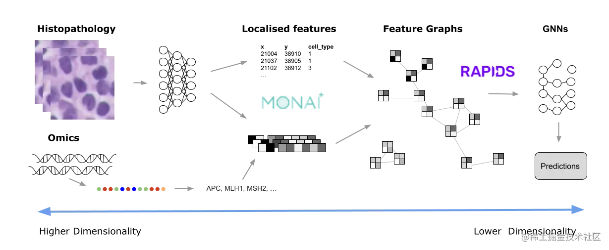 A visual description of the pathology image analysis pipeline, from raw images (or omics) to predictions.
