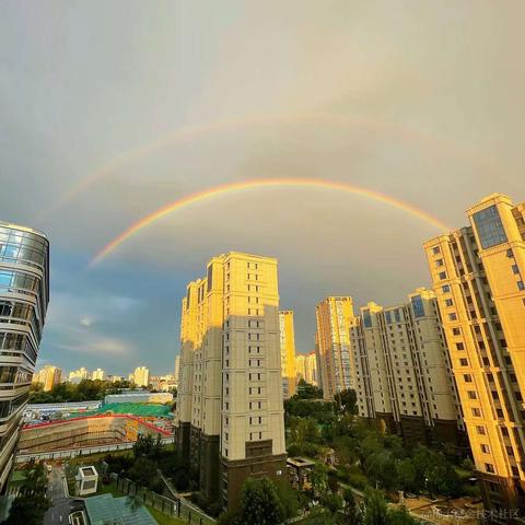 板砖村长于2021-08-26 19:07发布的图片