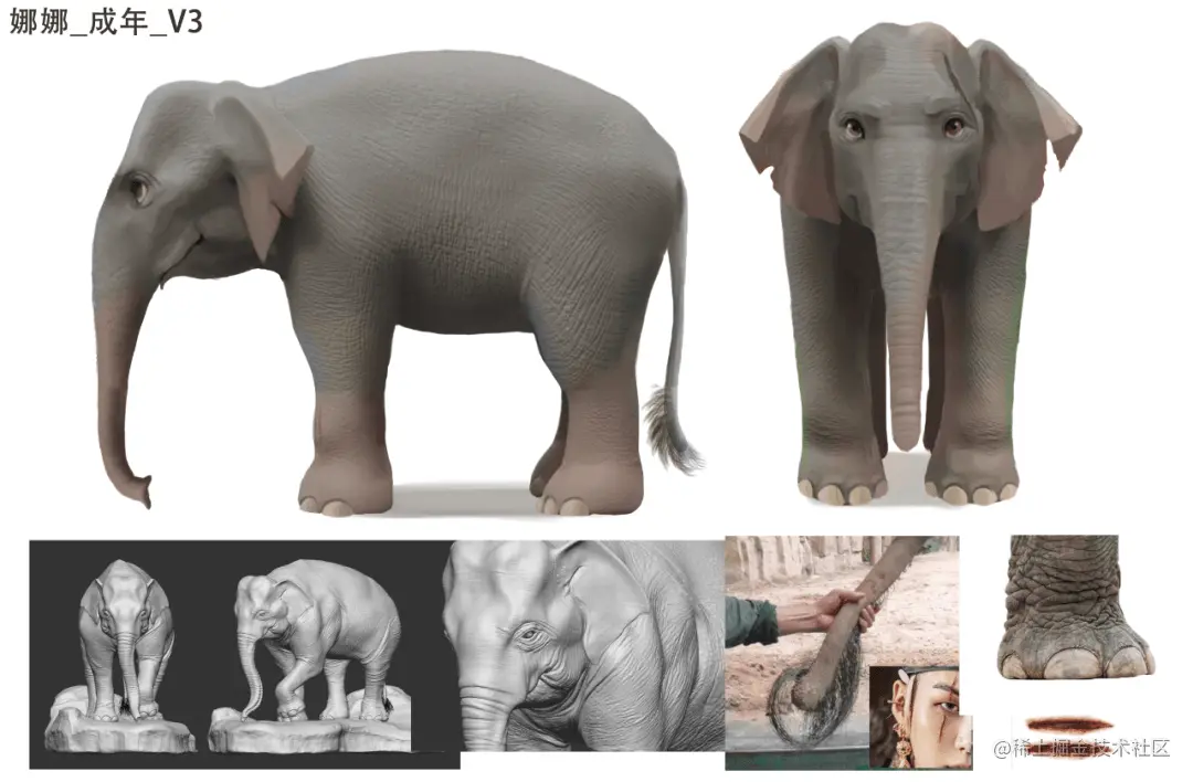 《象群挽歌》角色设计