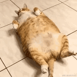 leonsux于2021-03-01 10:18发布的图片