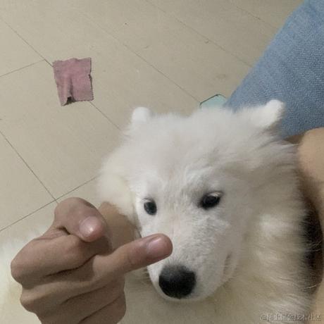 苏煜于2023-09-22 09:43发布的图片