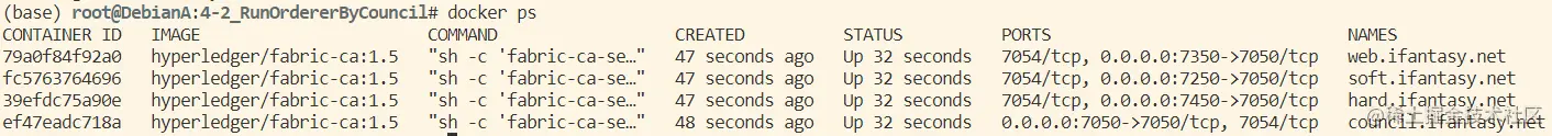 初始 docker 网络