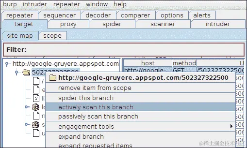3-使用 Burp Scanner 启动自动扫描