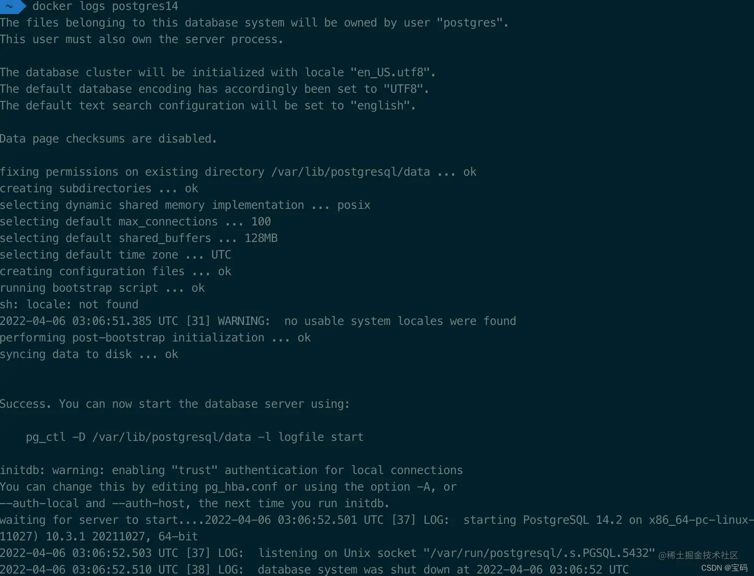 查看postgres容器日志