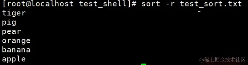 image-20240203143917563