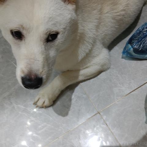 心想事成717于2023-07-06 18:56发布的图片