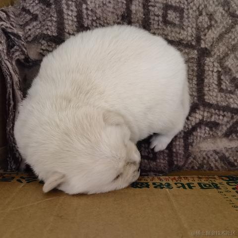 大角然神选于2023-06-20 16:41发布的图片