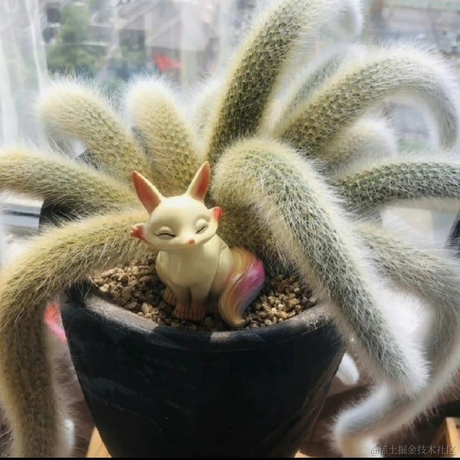 已注销于2023-02-19 17:05发布的图片