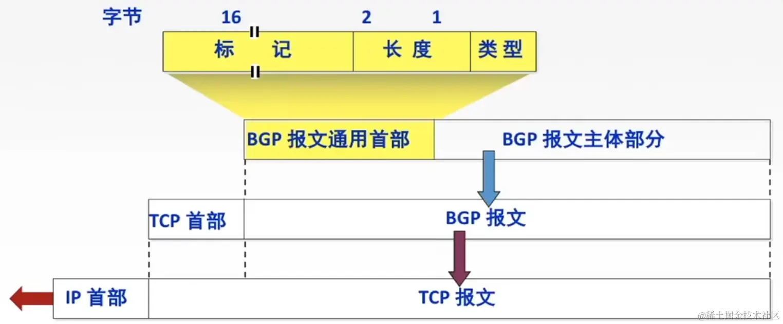 BGP-报文格式