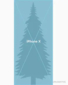 在 5.8 英寸 iPhone 上全屏显示的树图像图。 树图像是全尺寸。