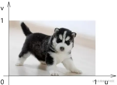 image-20210410111947068