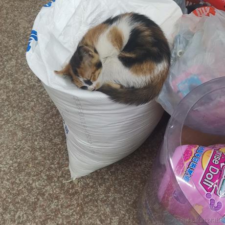 旺仔脆啵啵于2022-11-29 17:53发布的图片