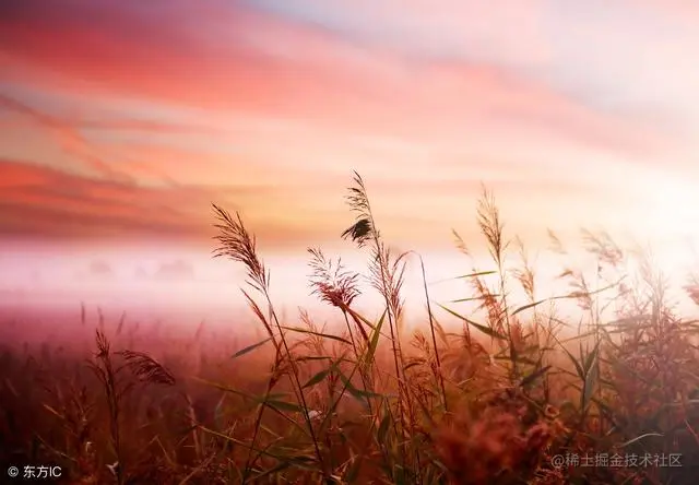 从做大牛那里整理的Python函数相关的学习笔记，希望对你有帮助