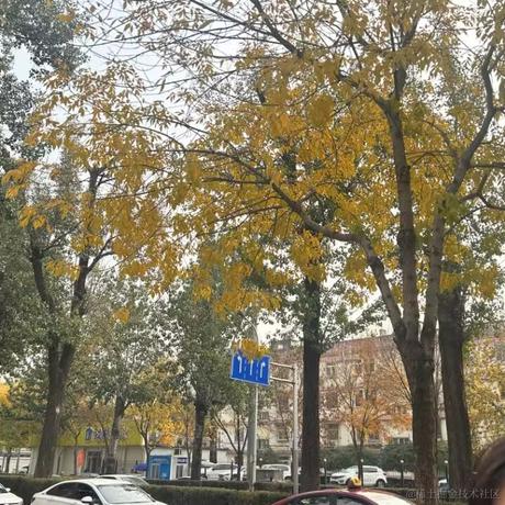 凤2018于2022-10-31 08:11发布的图片