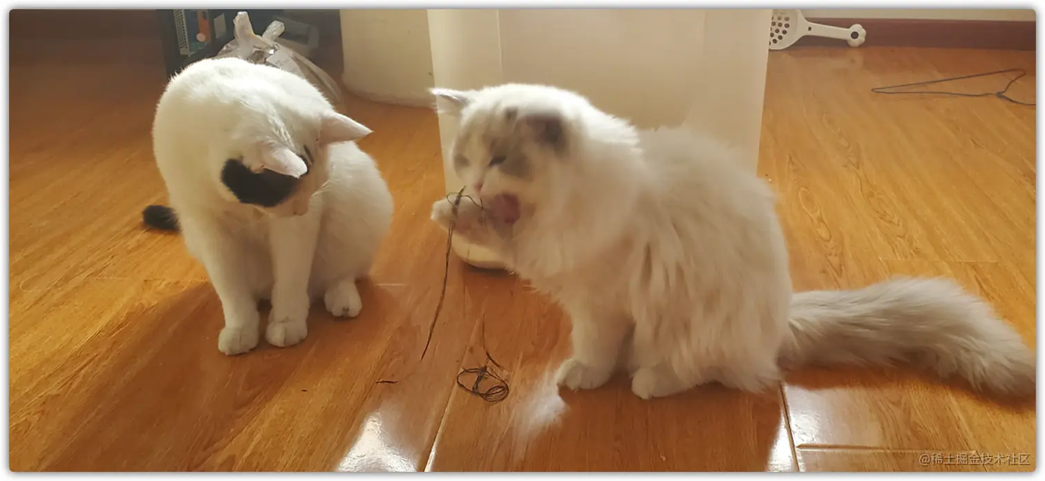 image-20210815171055460