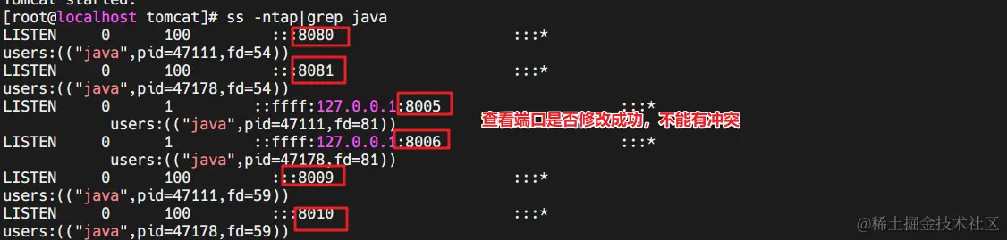 image-20220513170326861