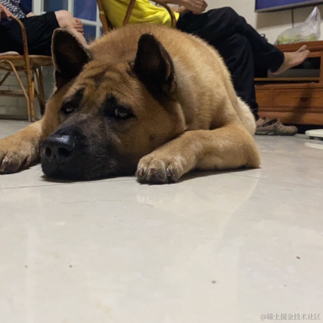 紫色的猪于2022-12-06 23:41发布的图片