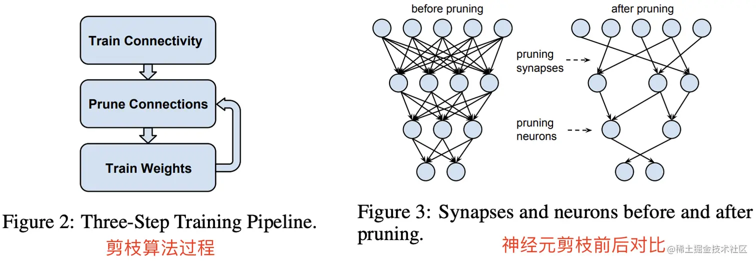 典型模型剪枝图例