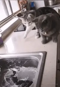 30套酷炫可视化大屏模板，不敲代码可直接套用，拿走不谢