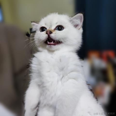 加盐于2022-11-14 13:23发布的图片