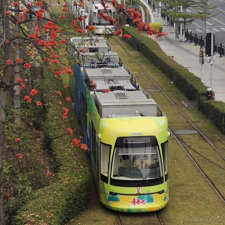 在逃的打工猫于2023-03-18 14:31发布的图片