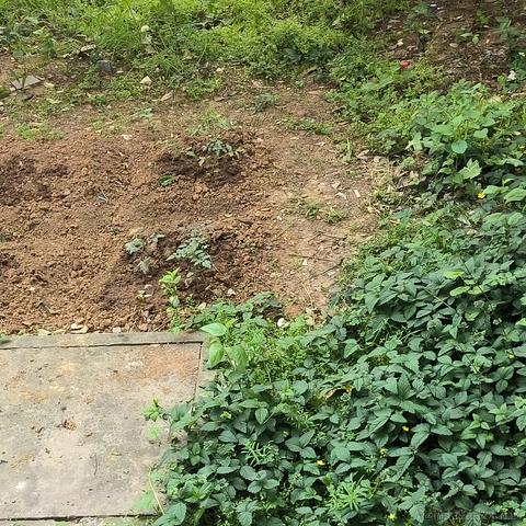 Zaccc于2023-04-18 23:20发布的图片