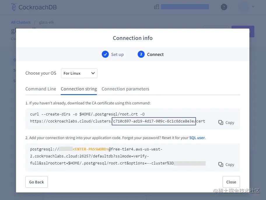 Find your cluster ID in the Connection Info modal
