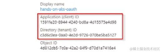 在左侧屏幕的概述窗格中复制应用程序 ID 和目录 ID 并保存。