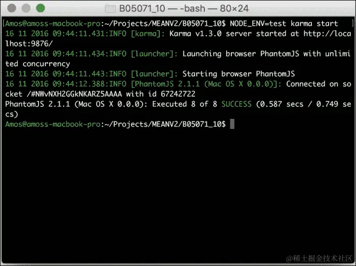 运行您的 Angular 单元测试