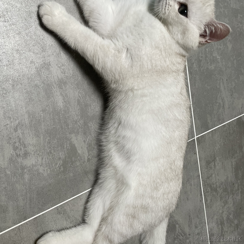 喵怼怼于2023-05-13 15:17发布的图片