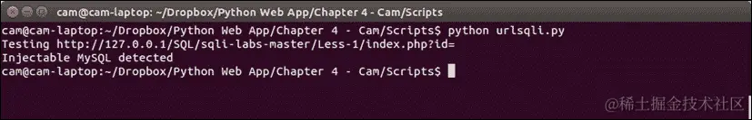 它是如何工作的...
