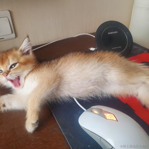 将军山最速下山传说于2020-12-15 08:28发布的图片