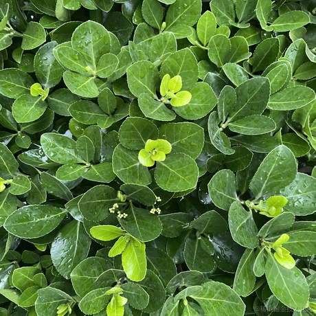 你说这是为什么于2023-05-27 19:46发布的图片