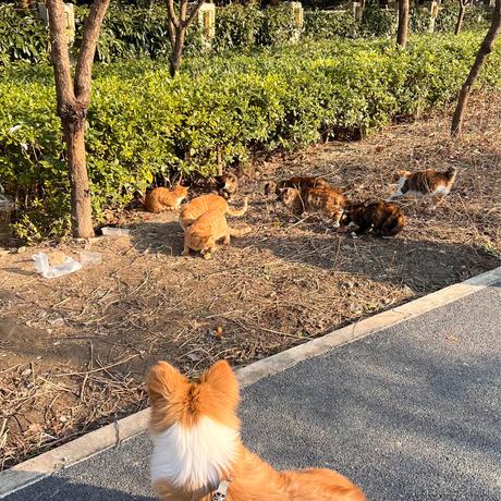 控酱于2023-12-27 13:44发布的图片