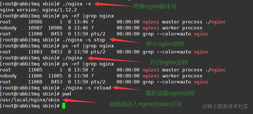 image-20220317191402101