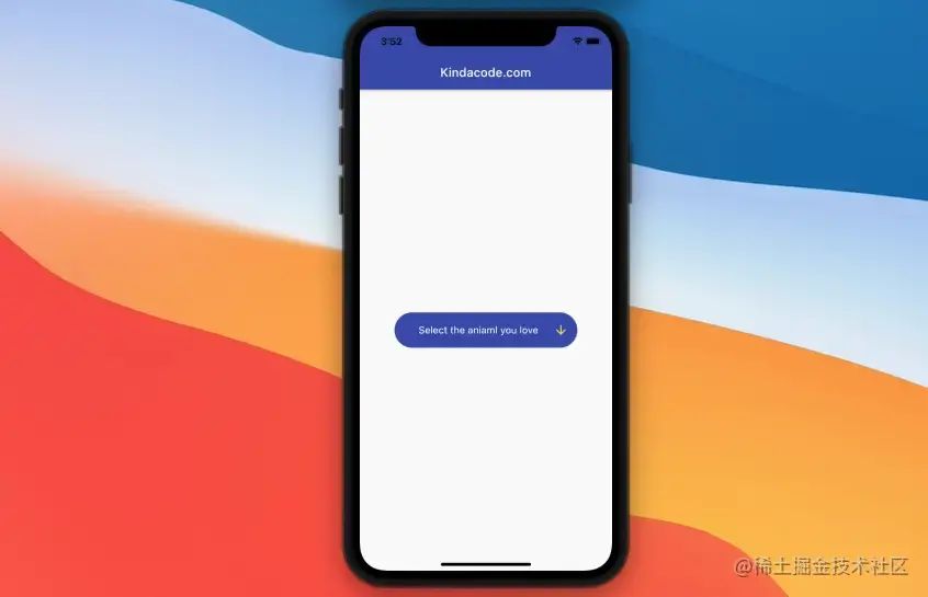 Flutter: DropdownButton ExampleThis Article Walks You Throug - 掘金