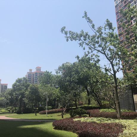 热心的朝阳群众于2020-08-22 11:39发布的图片