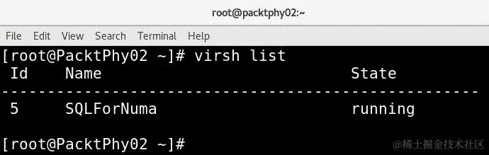 图 15.21 - 列出正在运行的虚拟机