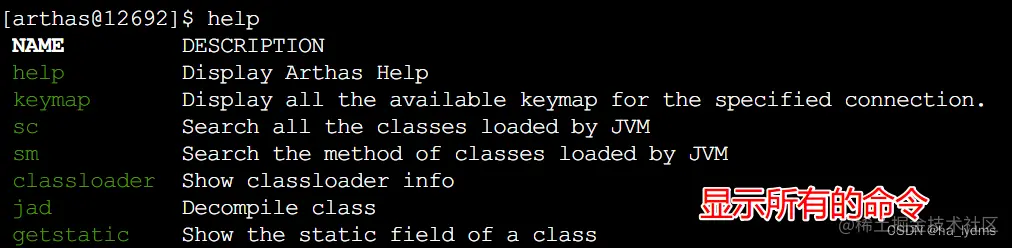 请添加图片描述