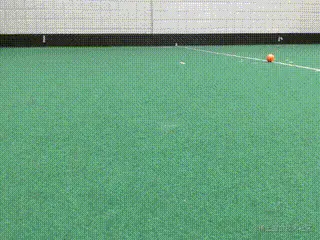 A gif of the robot grabbing a stationary ball.