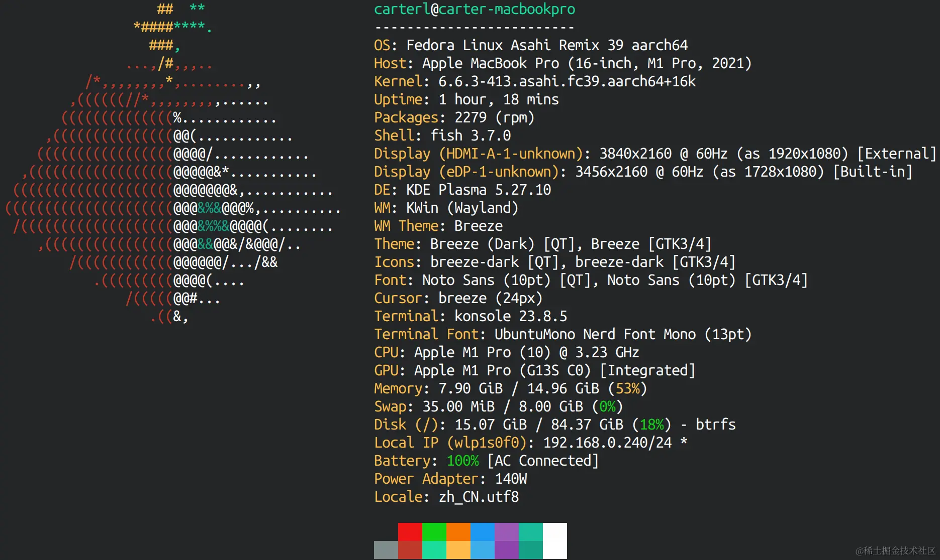 demo-picture-of-fastfetch