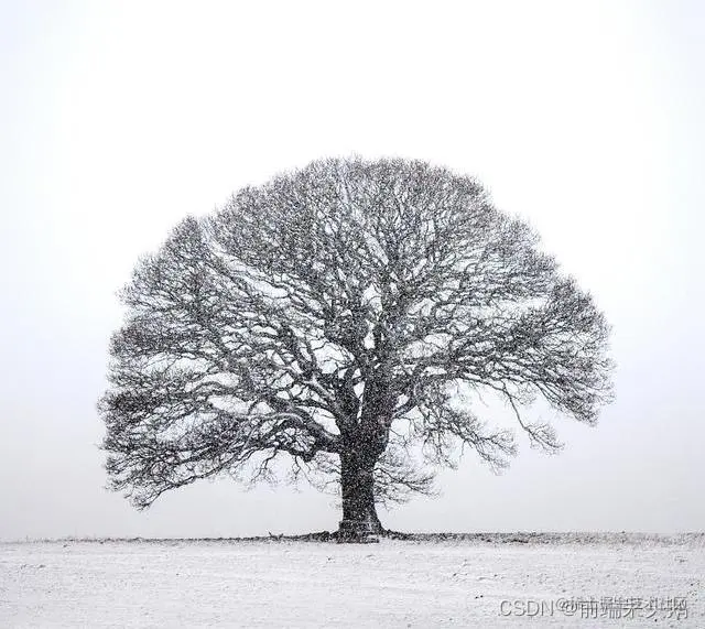 请添加图片描述