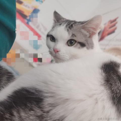 若拉于2021-01-14 14:59发布的图片