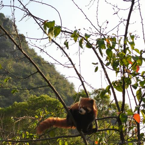 乃贝赢于2022-11-28 13:09发布的图片