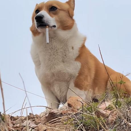 前舟于2022-05-13 18:28发布的图片