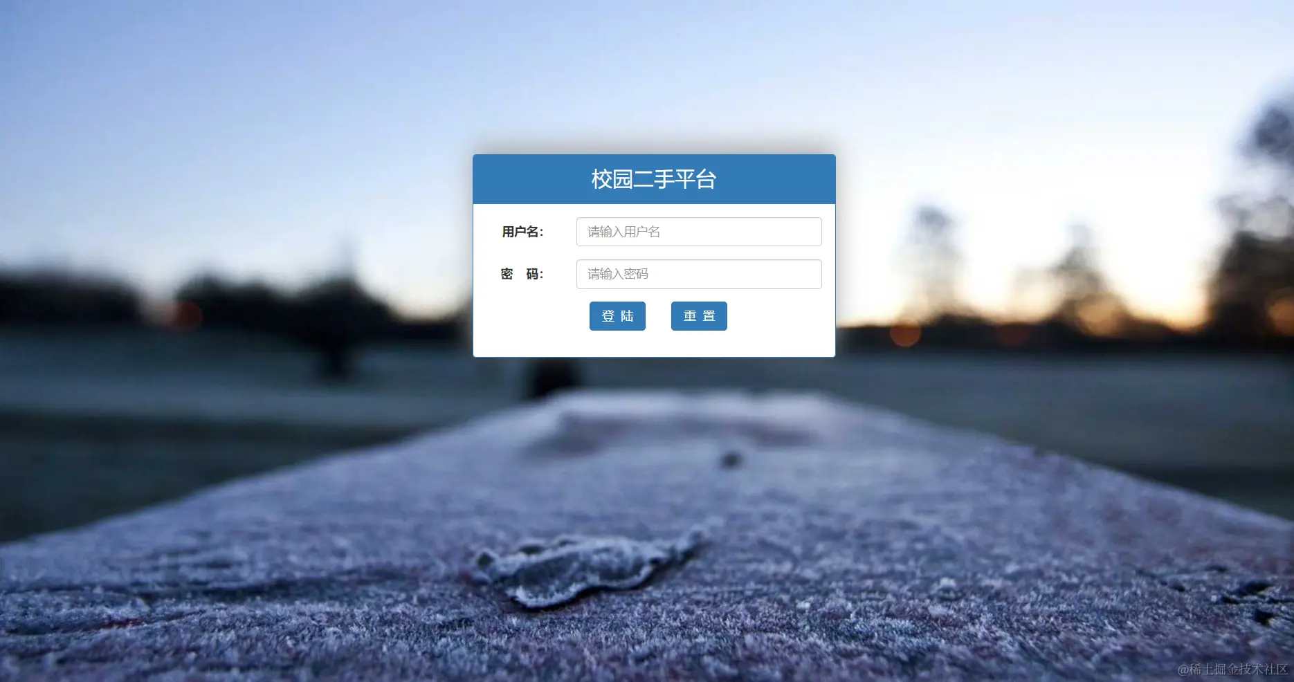 image-20240204185650232