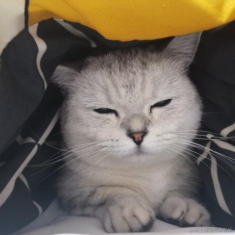 熠熠于2022-11-12 12:54发布的图片