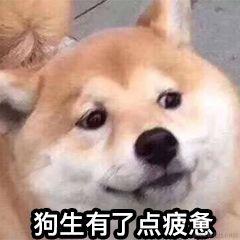 煎饼果子仁于2021-06-18 17:00发布的图片