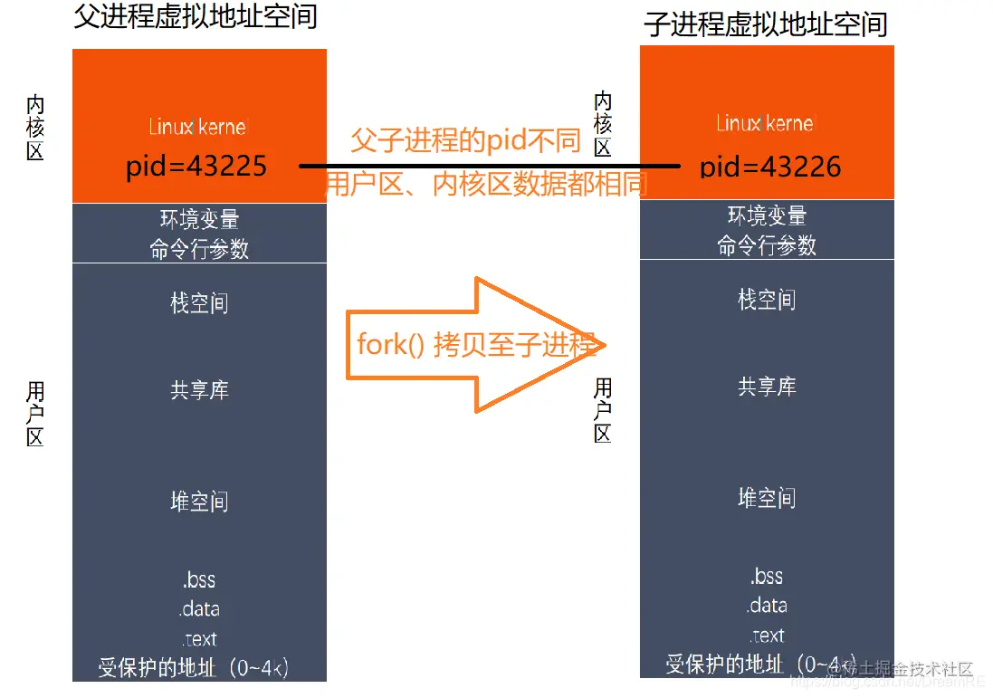 父子进程的虚拟地址空间